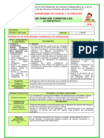 Ses-Mart-Cyt-¿Qué Función Cumplen Los Alimentos