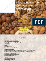 Cashewnut Production