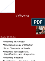 Lecture 14 - Olfaction