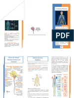 Folleto Sist - Nervioso