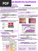 Dermatologia 