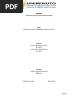 ACTIVIDAD - ANALISIS DEL CASO - Estandares Minimos Del SG-SST