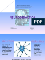 La Neurodidactica