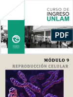 MODULO 9 - Reproduccion Celular