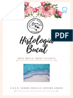 Histologia Bucal Portafolio de Evidencias Karen Marisol Ibarra Plascencia 2C UAD