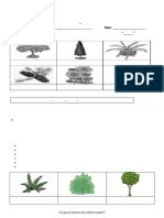 4th NATURAL SCIENCE Study Guide 2024-2025