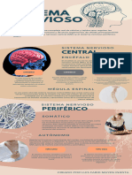 Infografia Sistema Nervioso