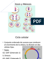 Mitosis y Meiosis