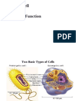 Bacteria 1