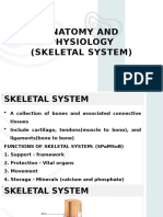 Skeletal System (Anatomy and Physiology For First Year Nursing Students)