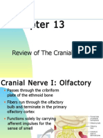 Chapter 13 - Cranial Nerve Review