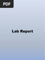 Lab Report 