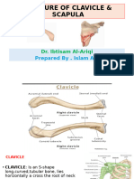 Fractures of Clavicle & Scapula