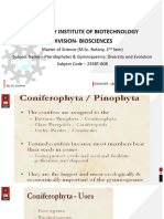 Lecture 3.1.3 Conifers