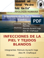 Presentación: Infecciones de La Piel y Tejidos Blandos