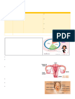 4º ACTIV 04-Sistema Reproductor Humano