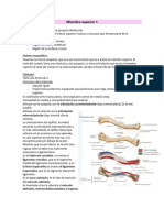 Miembro Superior I