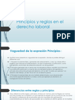 Principios y Reglas en El Derecho Laboral