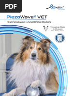 PIEZO Shockwave in Small Animal Medicine