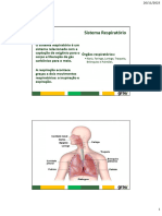 Sistema Respiratório