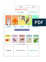 Vertebrate and Inverebrate - Learn With Me