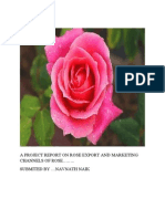 Rose Export and Marketing Channels