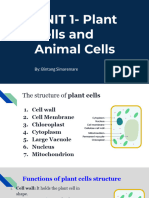 Plant Cells and Animal Cells