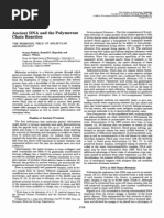 Minireview: Ancient DNA and The Polymerase Chain Reaction