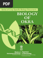 Okra