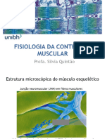 Contração Muscular