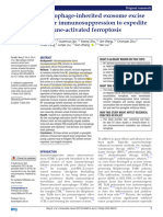 Macrophage-Inherited Exosome Excise Tumor Immunosuppression To Expedite Immune-Activated Ferroptosis