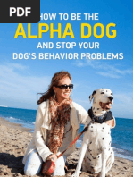 How To Be The Alpha Dog and Stop Your Dog's Behavior Problems