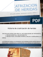 Cicatrizacion de Heridas-1