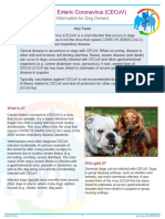 Canine Enteric Coronavirus Fact Sheet 20201002