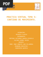 Practica Virtual Tema 5