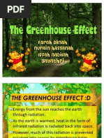 The Greenhouse Effect