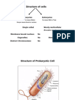 Lecture 2 Prokaryotic Eukaryotic