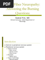 Fink Small Fiber Neuropathy