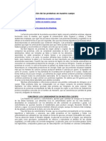 Función de Las Proteínas, Los Carbohidratos, Las Vitaminas, Los Minerales, en Nuestro Cuerpo