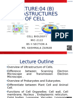 Lecture 04 (B) Ultra Structures of Cell