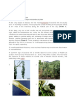 Bacterial Wilt of Tomato and Chilli