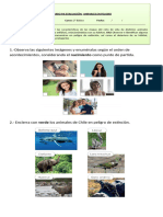 Preparo Mi Evaluación Ciencias Unidad 2 Animales en Peligro