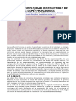 Sobre La Complejidad Irreductible de Los Espermatozoides