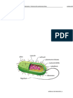 Biología. Niveles de Organización de Los Sistemas Biológicos