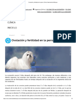 Ovulación y Fertilidad en La Perra, Clínica Veterinaria Del Bosque