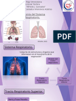 Anatomia Respiratoria 