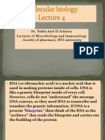 Lecture 4 Molecular Biology