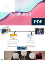 Agentes Auxiliares