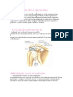   Ligamentos 