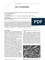 Review Bacterial Cellulose